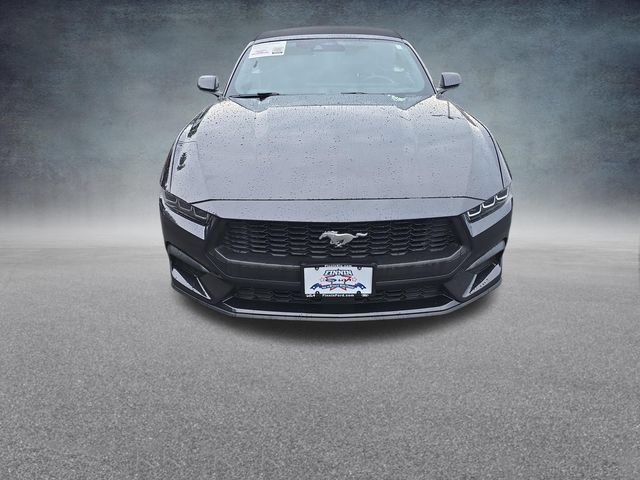 Certified 2024 Ford Mustang Premium RWD image 2