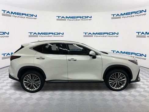 Used 2025 Lexus NX 350h AWD w/ Cold Area Package image 5