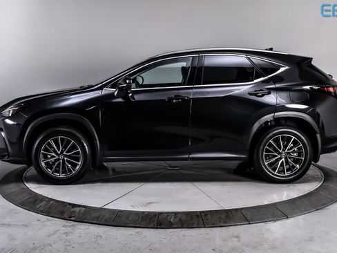 Used 2025 Lexus NX 350h AWD w/ Premium Package image 3