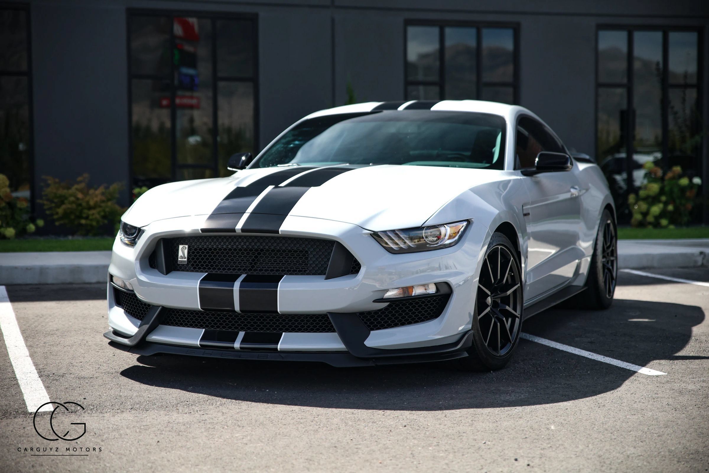 Used 2016 Ford Mustang Shelby GT350 w/ Track Package RWD image 2