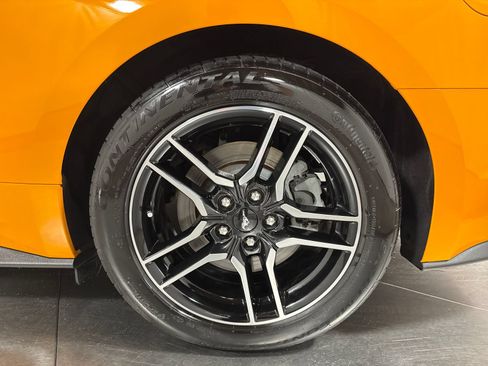 Used 2019 Ford Mustang GT RWD image 13