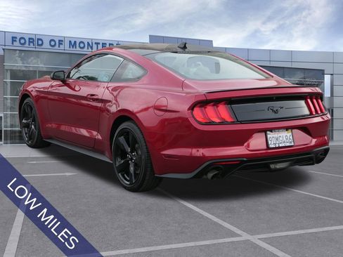 Used 2022 Ford Mustang Coupe w/ Equipment Group 101A image 7