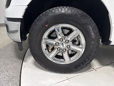 Used 2025 Ford F150 XLT w/ Equipment Group 301A Standard image 5