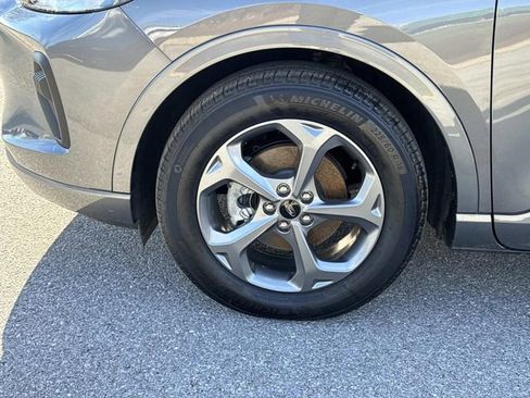 Certified 2024 Ford Escape ST-Line w/ Equipment Group 301A image 8