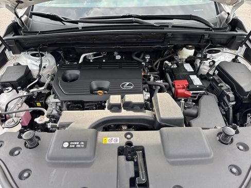 Used 2025 Lexus NX 250 FWD w/ Cold Area Package image 12