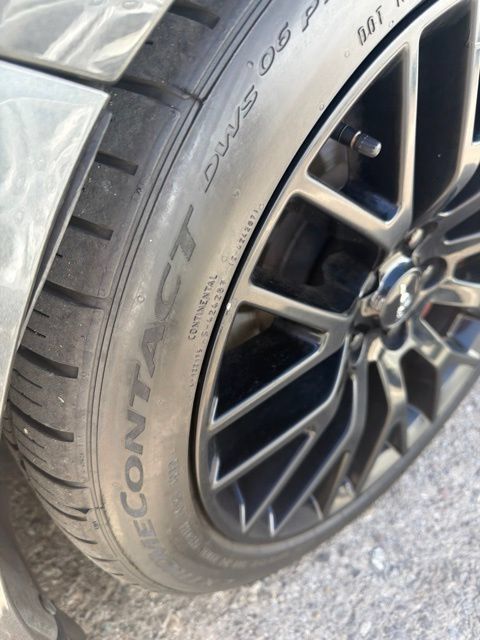 Used 2019 Ford Mustang GT Premium w/ Equipment Group 401A RWD image 8