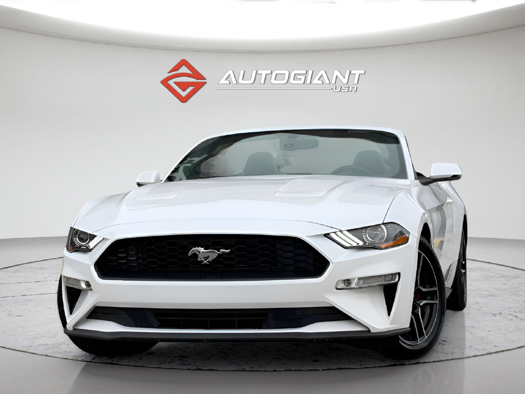 Used 2019 Ford Mustang Premium RWD image 1