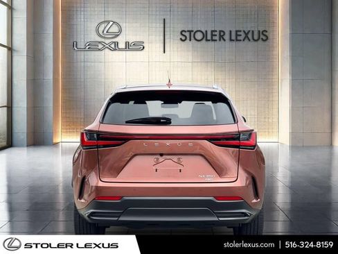 Used 2025 Lexus NX 350 AWD w/ Cold Area Package image 6