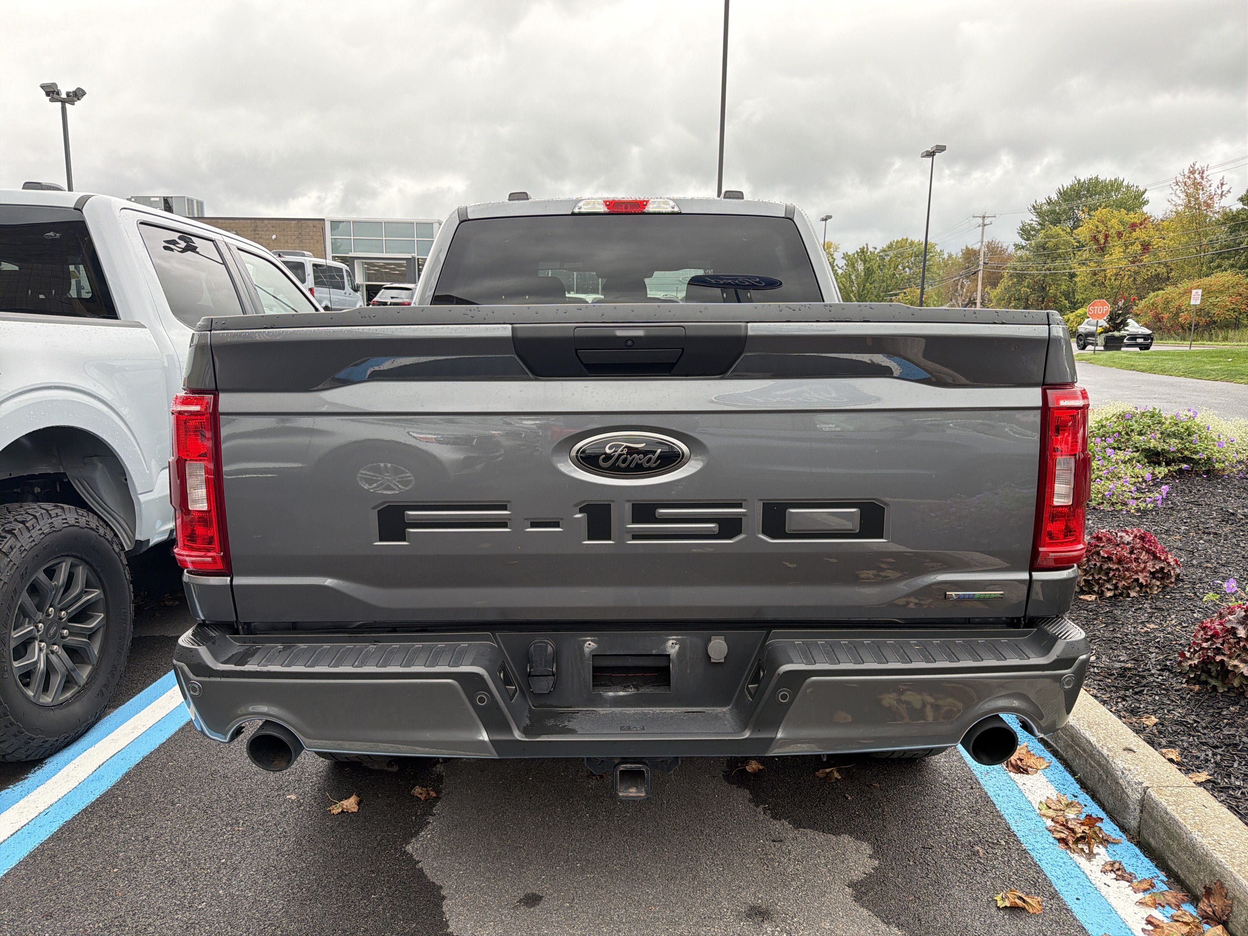 Used 2023 Ford F150 XL w/ STX Black Appearance Package AWD/4WD image 6