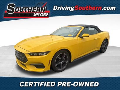 Used 2024 Ford Mustang Premium