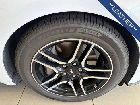 Used 2019 Ford Mustang GT Premium RWD image 7