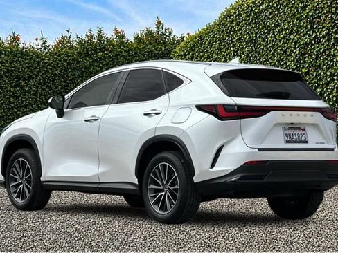 Used 2025 Lexus NX 250 FWD w/ Accessory Package (2T) image 6