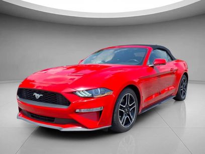 Used 2019 Ford Mustang Premium