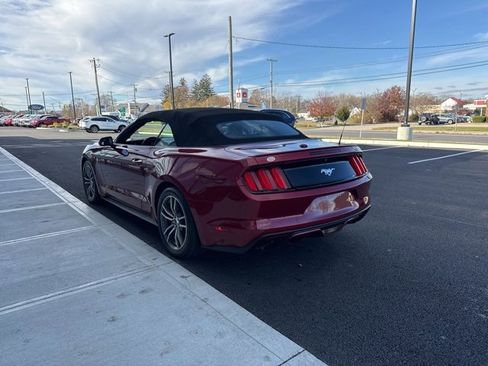 Used 2016 Ford Mustang Premium image 5