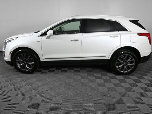 Used 2019 Cadillac XT5 Premium Luxury AWD/4WD image 3