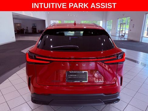 Certified 2025 Lexus NX 250 FWD w/ Cold Area Package image 6