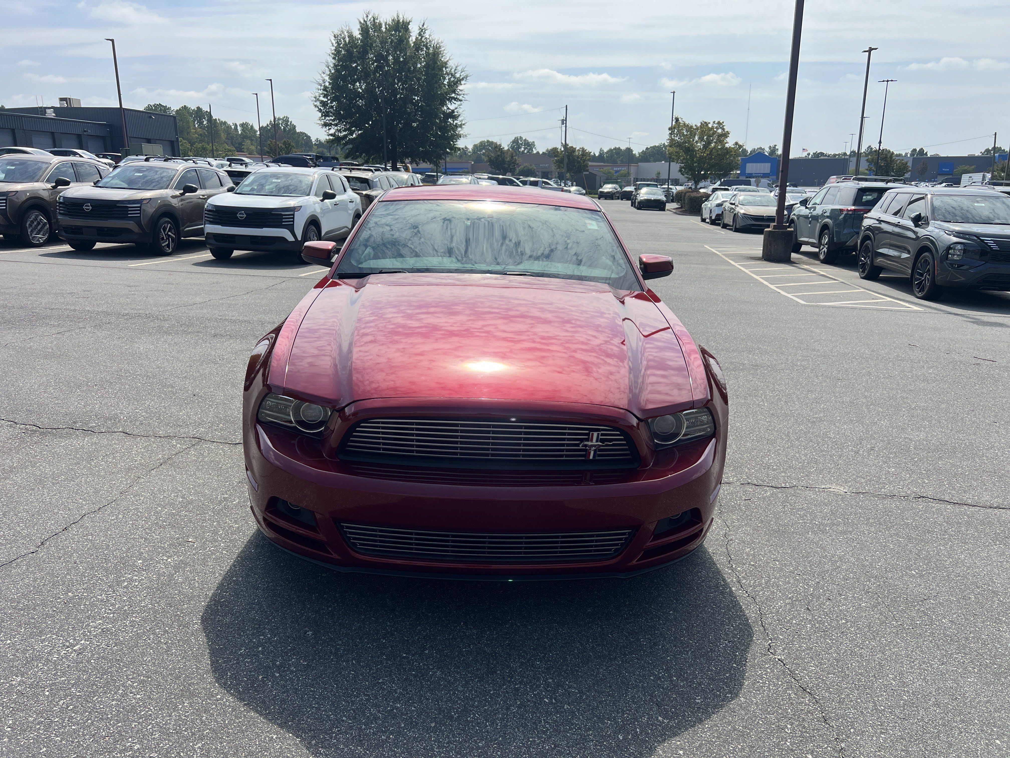 Used 2014 Ford Mustang Premium w/ Equipment Group 203A RWD image 2