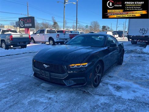 Used 2024 Ford Mustang Coupe image 4