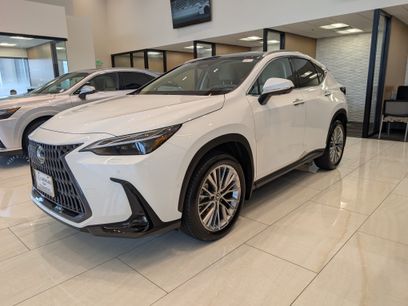 New 2026 Lexus NX 350 AWD w/ Luxury Package