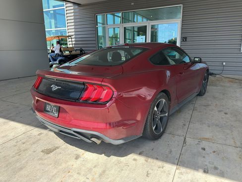 Used 2019 Ford Mustang Coupe w/ Ford Safe & Smart Package RWD image 4