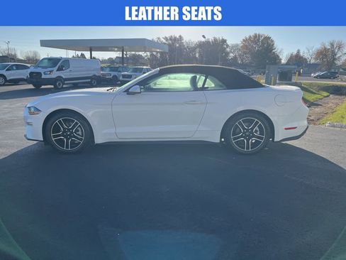 Used 2021 Ford Mustang Premium image 7