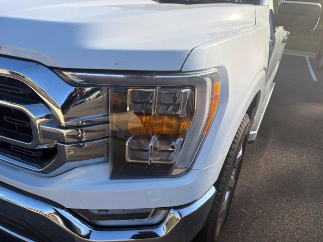 Used 2022 Ford F150 XLT w/ Equipment Group 302A High AWD/4WD image 2