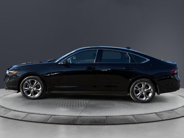 Used 2024 Honda Accord EX image 2