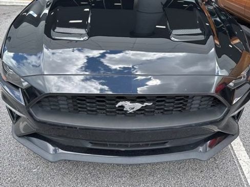 Used 2019 Ford Mustang Coupe w/ Equipment Group 101A RWD image 4