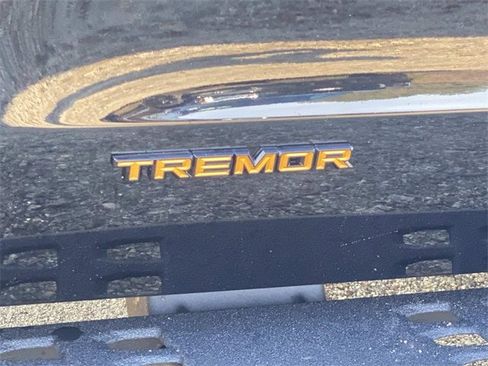 New 2025 Ford Expedition Tremor image 28