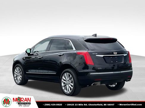 Used 2019 Cadillac XT5 Premium Luxury AWD/4WD image 4