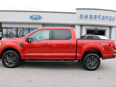 Used 2023 Ford F150 XLT w/ Equipment Group 302A High AWD/4WD image 1