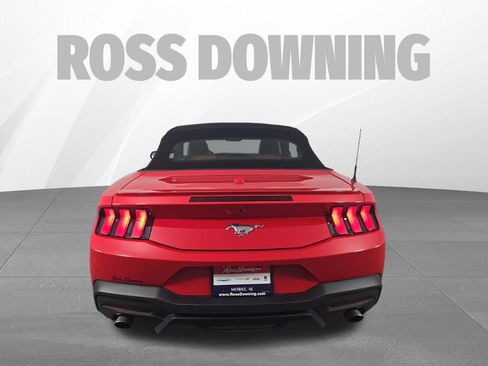Used 2024 Ford Mustang Premium RWD image 5