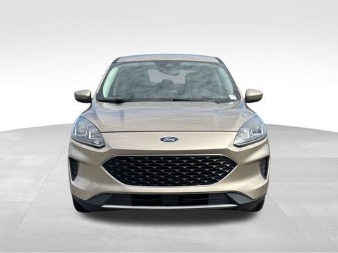 Used 2021 Ford Escape SE w/ Convenience Package FWD image 8