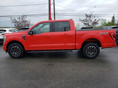 Used 2022 Ford F150 XLT w/ Equipment Group 302A High AWD/4WD image 6