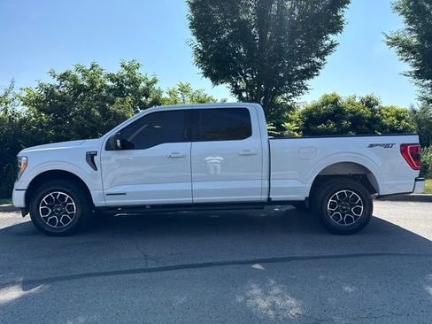 Used 2023 Ford F150 XLT w/ Equipment Group 302A High AWD/4WD image 5