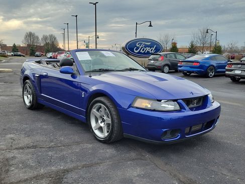 Used 2003 Ford Mustang Cobra image 6