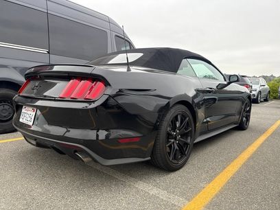 Used 2017 Ford Mustang GT Premium w/ Equipment Group 401A