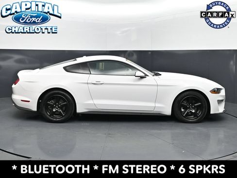 Used 2019 Ford Mustang Coupe RWD image 8