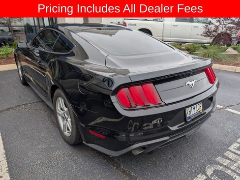Used 2019 Ford Mustang Coupe RWD image 2