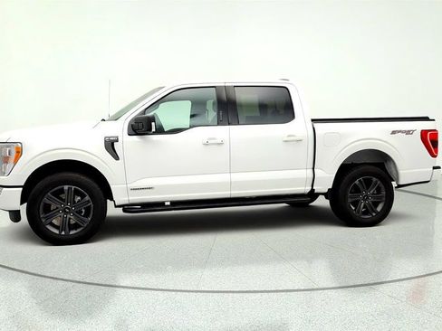 Used 2023 Ford F150 XLT w/ Equipment Group 302A High AWD/4WD image 8