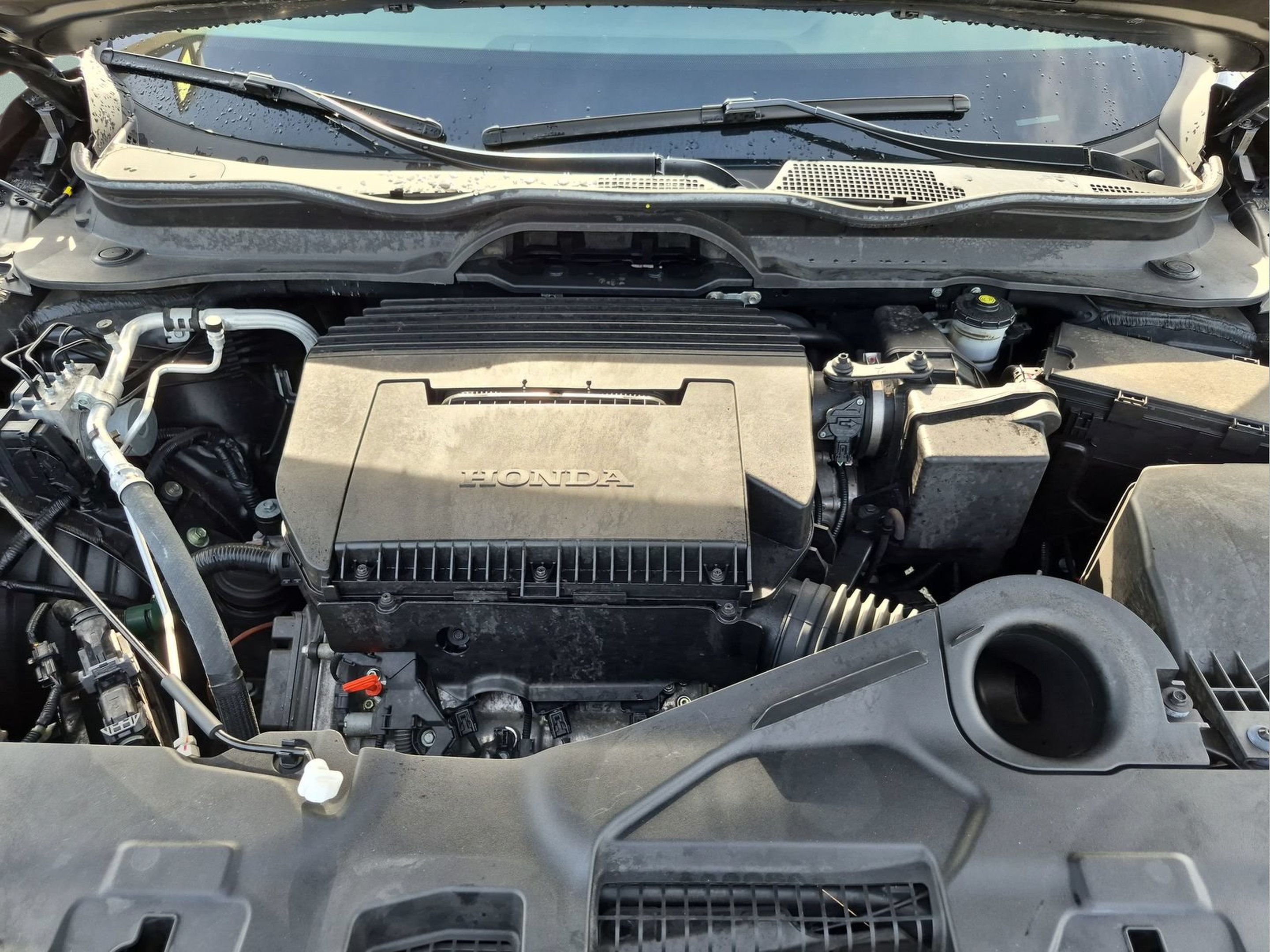 Used 2025 Honda Pilot EX-L image 21