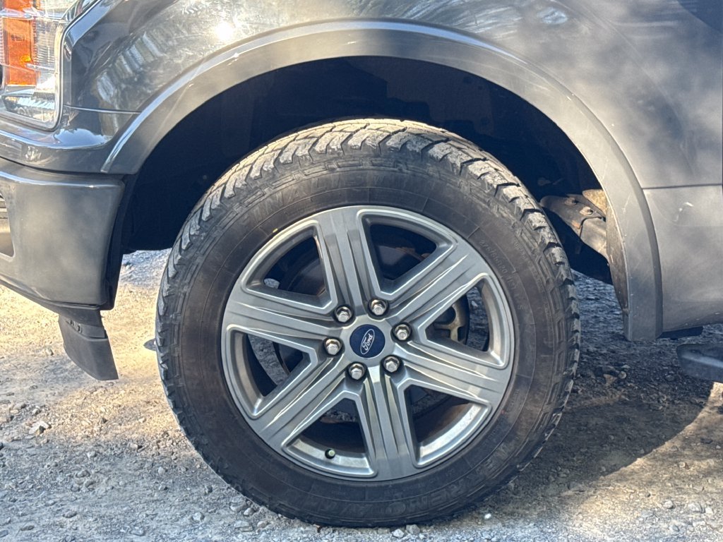 Used 2018 Ford F150 XLT w/ Equipment Group 302A Luxury AWD/4WD image 23
