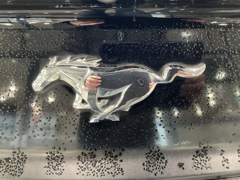 Used 2015 Ford Mustang Coupe w/ Ecoboost Performance Package image 19