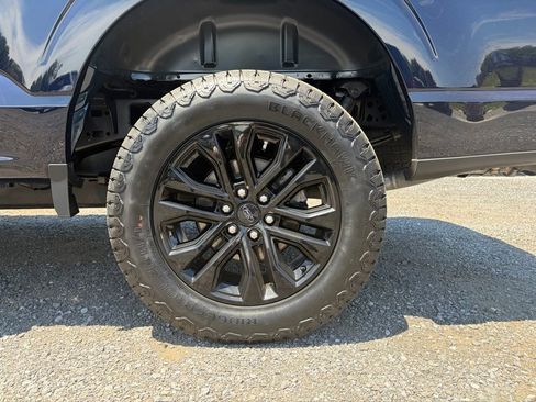 Used 2025 Ford F150 XLT w/ Equipment Group 303A High AWD/4WD image 15