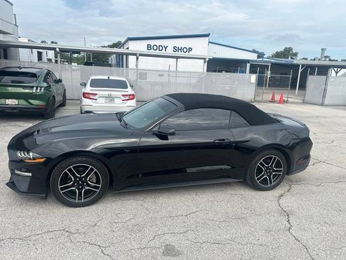 Used 2019 Ford Mustang Premium RWD image 5