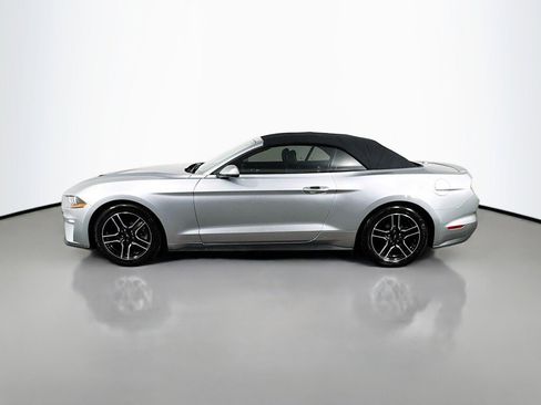 Used 2020 Ford Mustang Premium RWD image 3