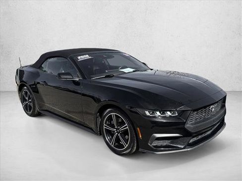 Used 2024 Ford Mustang Premium RWD image 3