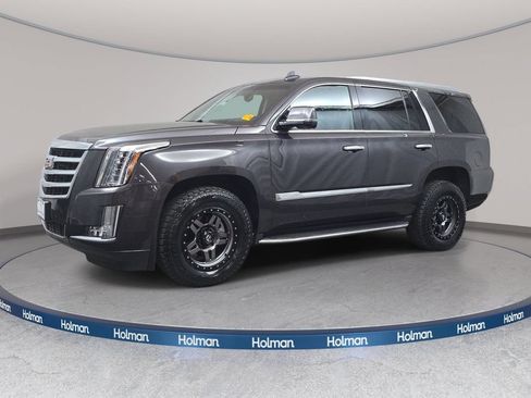 Used 2016 Cadillac Escalade Luxury AWD/4WD image 1