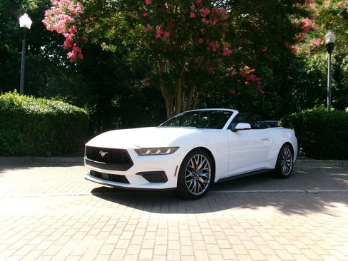 Used 2025 Ford Mustang Premium RWD image 12