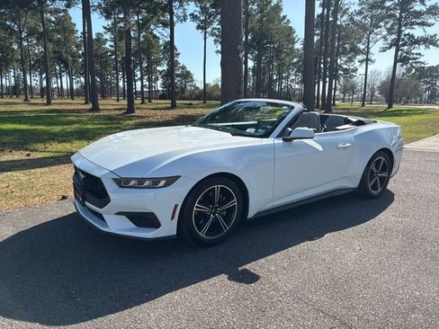 Used 2024 Ford Mustang Premium image 6